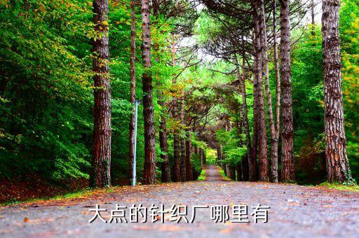 浙江新泰布業(yè)有限公司,浙江瑪雅布業(yè)有限公司