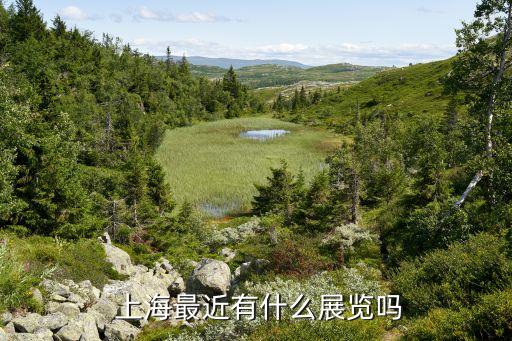 2014上海紡織印花材料,上海紡織印花展覽會
