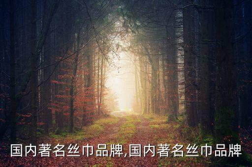 國(guó)內(nèi)著名絲巾品牌,國(guó)內(nèi)著名絲巾品牌
