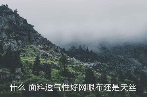 什么 面料透氣性好網(wǎng)眼布還是天絲