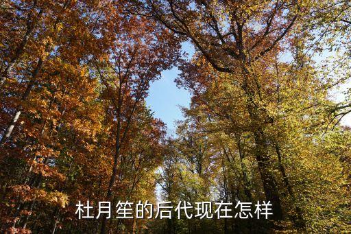杜月笙的后代現(xiàn)在怎樣