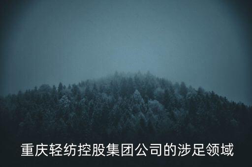  重慶輕紡控股集團公司的涉足領(lǐng)域