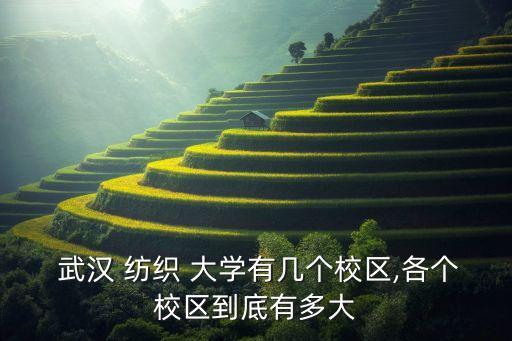 武漢紡織大學大小