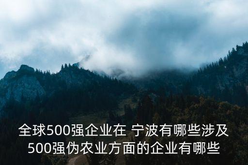 全球500強(qiáng)企業(yè)在 寧波有哪些涉及500強(qiáng)偽農(nóng)業(yè)方面的企業(yè)有哪些