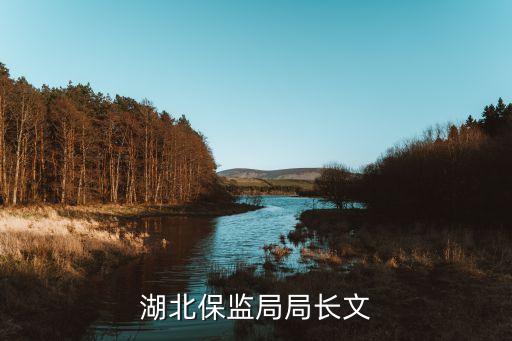 湖北保監(jiān)局局長(zhǎng)文