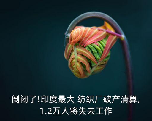 倒閉了!印度最大 紡織廠破產(chǎn)清算,1.2萬(wàn)人將失去工作