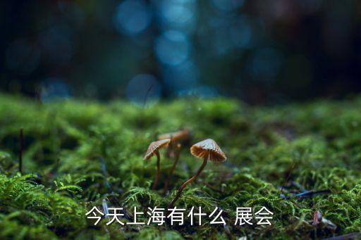今天上海有什么 展會