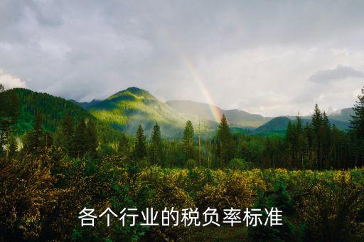 各個行業(yè)的稅負率標準