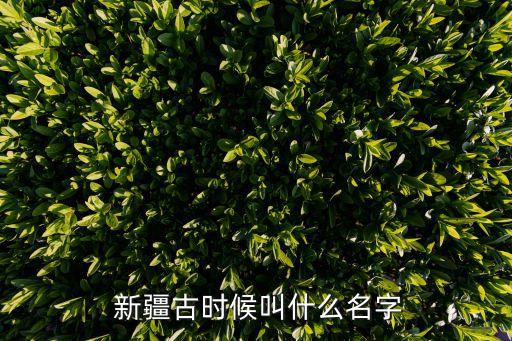 新疆若羌紡織業(yè)