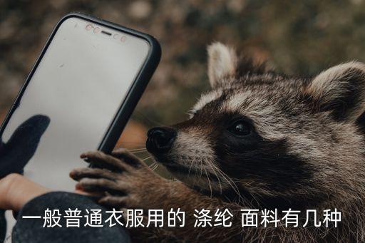 滌綸絲面料,超細(xì)滌綸絲面料