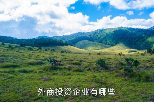 外商投資企業(yè)有哪些