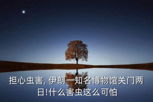 伊朗紡織市場