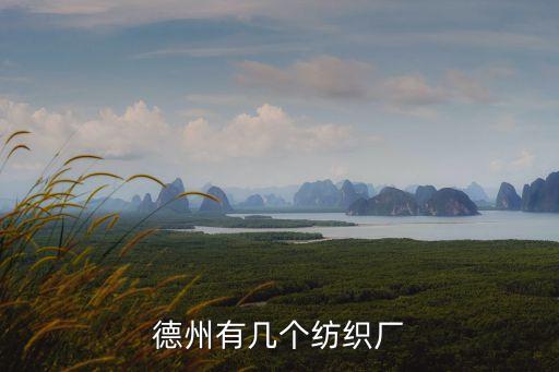 德州有幾個(gè)紡織廠