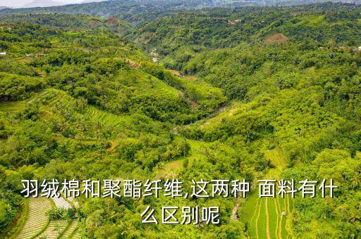梭織面料透氣嗎,梭織棉面料圖片