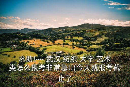 武漢紡織大學藝術(shù)類招生