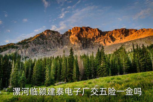  漯河臨潁建泰電子廠交五險(xiǎn)一金嗎