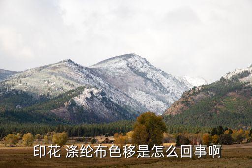  印花 滌綸布色移是怎么回事啊