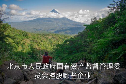 北京瑞華紡織有限公司,北京英和瑞華電氣有限公司