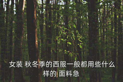  女裝 秋冬季的西服一般都用些什么樣的 面料急