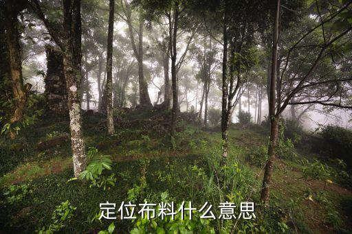  定位布料什么意思