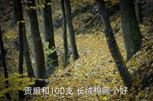 貢緞和100支 長(zhǎng)絨棉哪個(gè)好