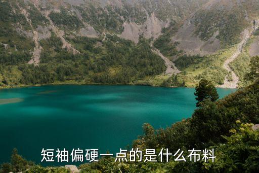 厚重硬挺性面料