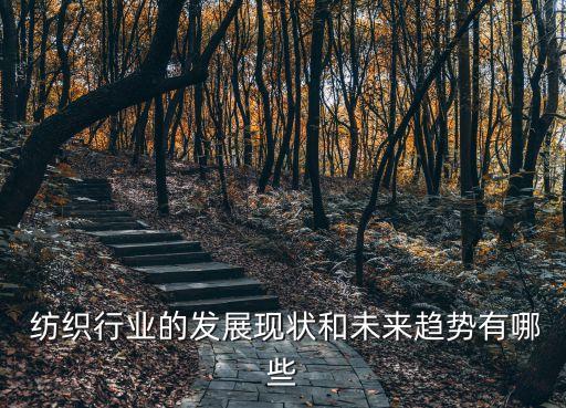  紡織行業(yè)的發(fā)展現(xiàn)狀和未來趨勢(shì)有哪些