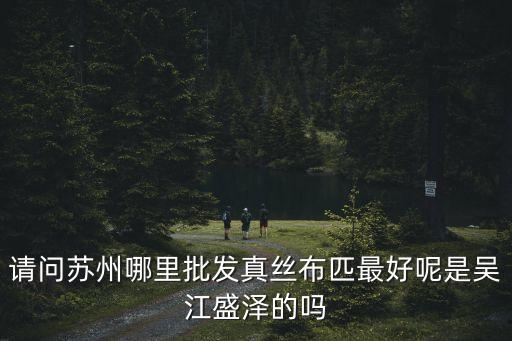 請(qǐng)問(wèn)蘇州哪里批發(fā)真絲布匹最好呢是吳江盛澤的嗎
