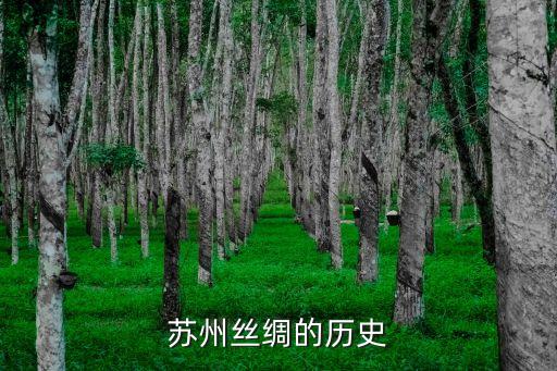蘇州絲綢的歷史