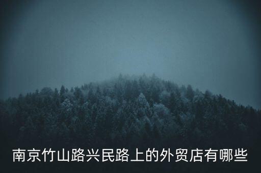 南京竹山路興民路上的外貿(mào)店有哪些