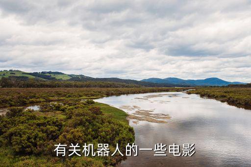 有關(guān)機器人的一些電影
