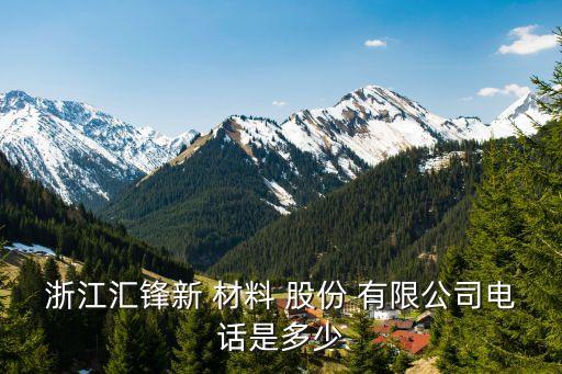 浙江匯鋒新 材料 股份 有限公司電話是多少