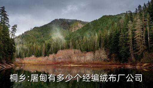 桐鄉(xiāng):屠甸有多少個(gè)經(jīng)編絨布廠公司