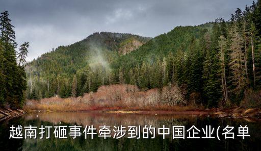 越南打砸事件牽涉到的中國(guó)企業(yè)(名單