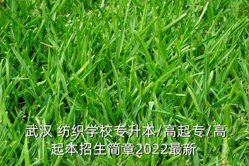  武漢 紡織學校專升本/高起專/高起本招生簡章2022最新