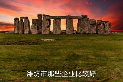 濰坊市那些企業(yè)比較好