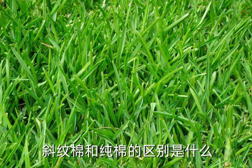 全棉斜紋面料好嗎,t200全棉斜紋面料