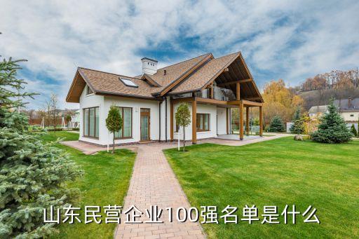  山東民營(yíng)企業(yè)100強(qiáng)名單是什么