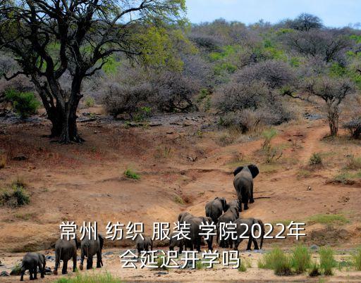  常州 紡織 服裝 學(xué)院2022年會延遲開學(xué)嗎