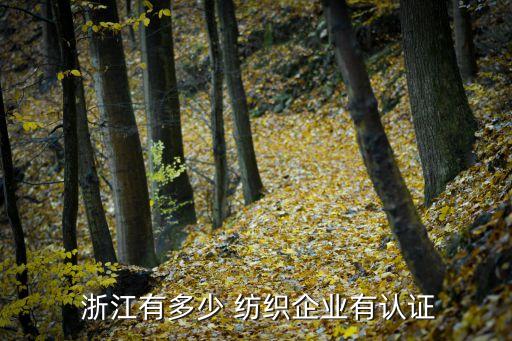 浙江虛擬紡織,浙江AR虛擬增強(qiáng)軟件
