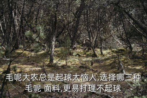 毛呢大衣總是起球太惱人,選擇哪三種毛呢 面料,更易打理不起球
