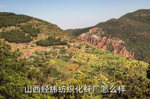 經(jīng)偉股份有限公司,廣東偉的新材料股份有限公司