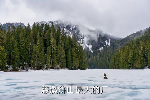 慈溪滸山最大的廠