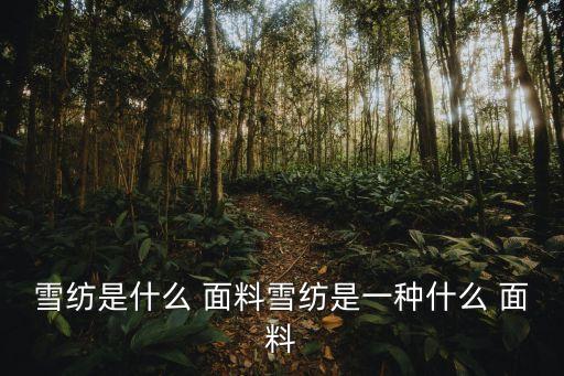 雪紡是什么 面料雪紡是一種什么 面料