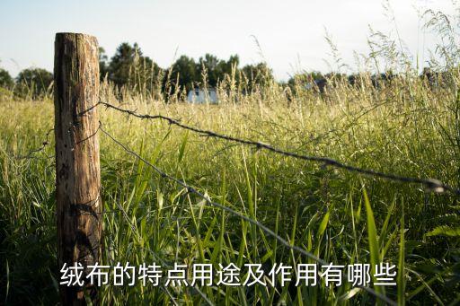 紡織品服用性能與功能,竹纖維功能紡織品的性能和功能