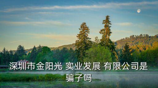 金?N實業(yè)有限公司怎么樣,昆明心融實業(yè)有限公司怎么樣