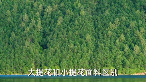 大提花和小提花面料區(qū)別