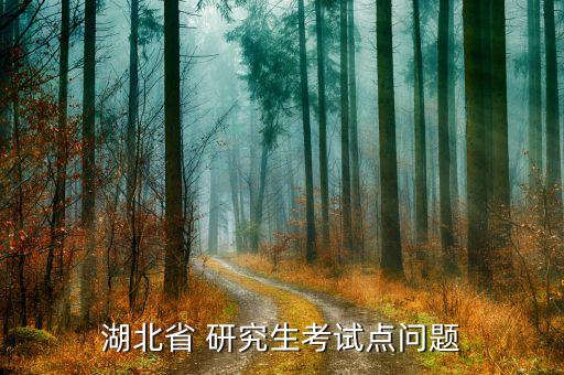 湖北省 研究生考試點(diǎn)問題