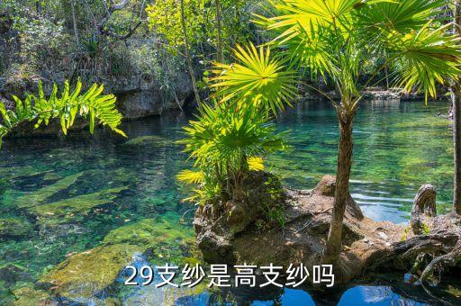 29支紗是高支紗嗎
