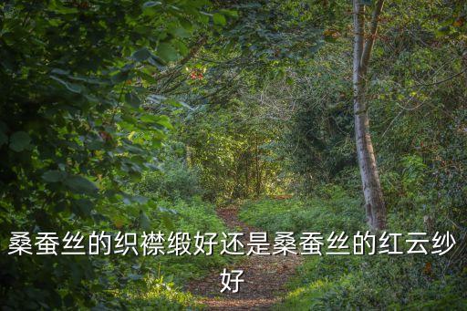桑蠶絲的織襟緞好還是桑蠶絲的紅云紗好